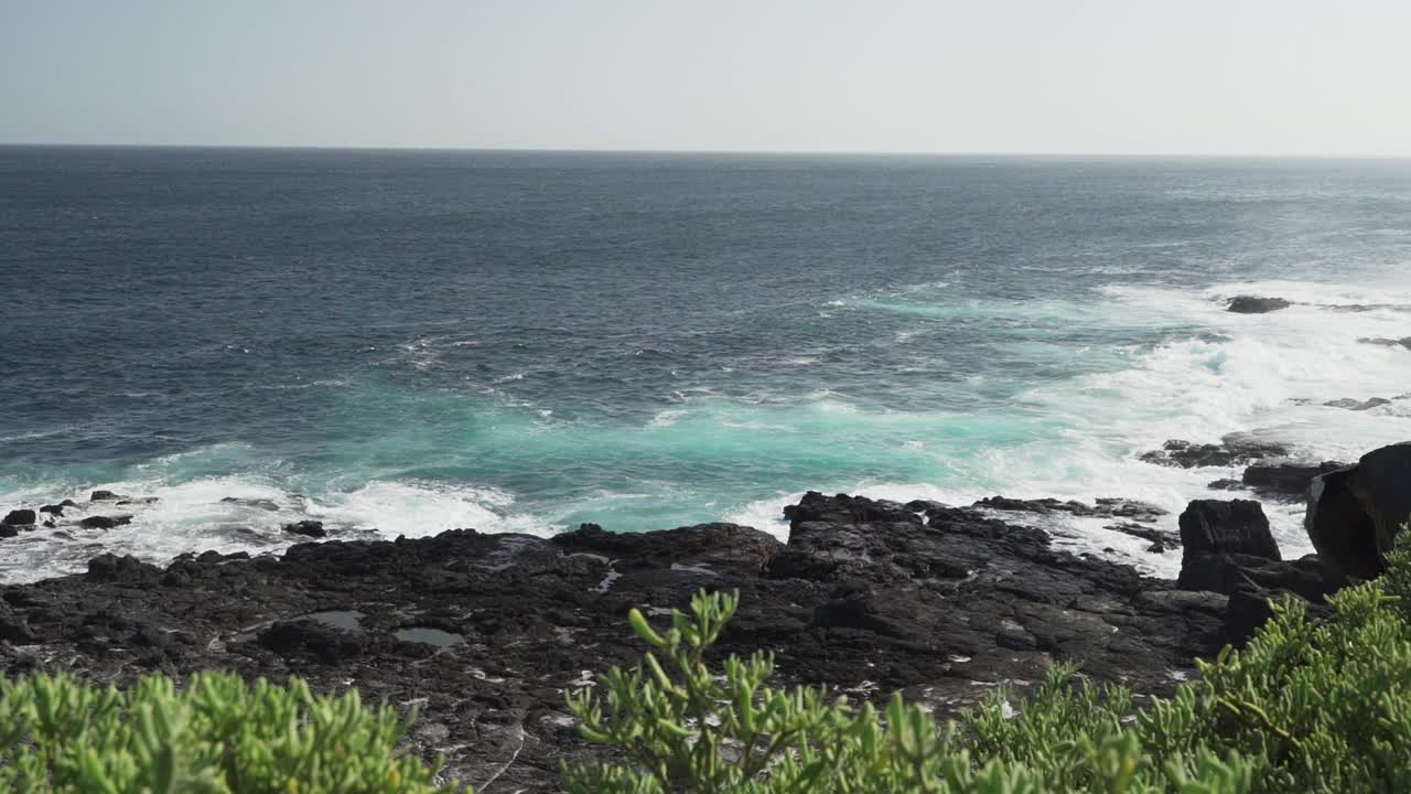 在加拉帕戈斯群岛的熔岩海滩上，太平洋的海水通过一个吹孔被挤压，喷出咸水喷雾。视频素材