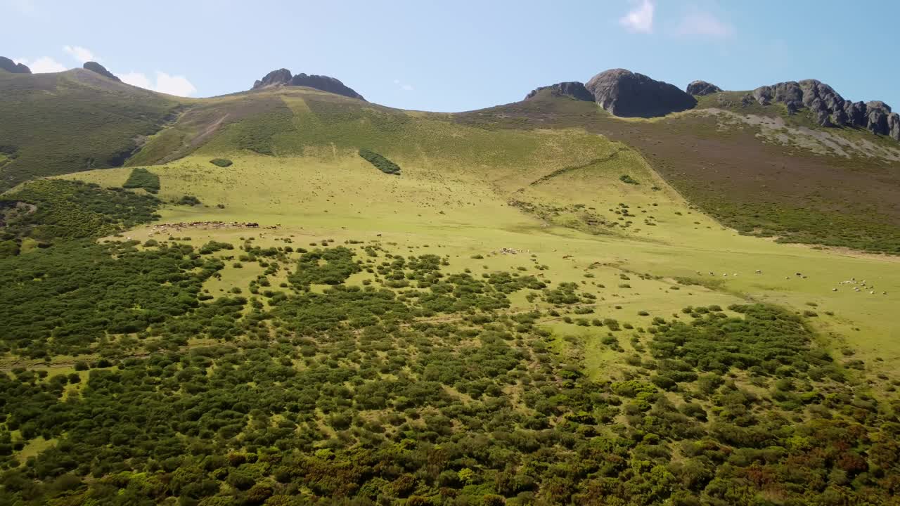 雄伟的山脉和郁郁葱葱的草地构成了令人惊叹的景观视频素材