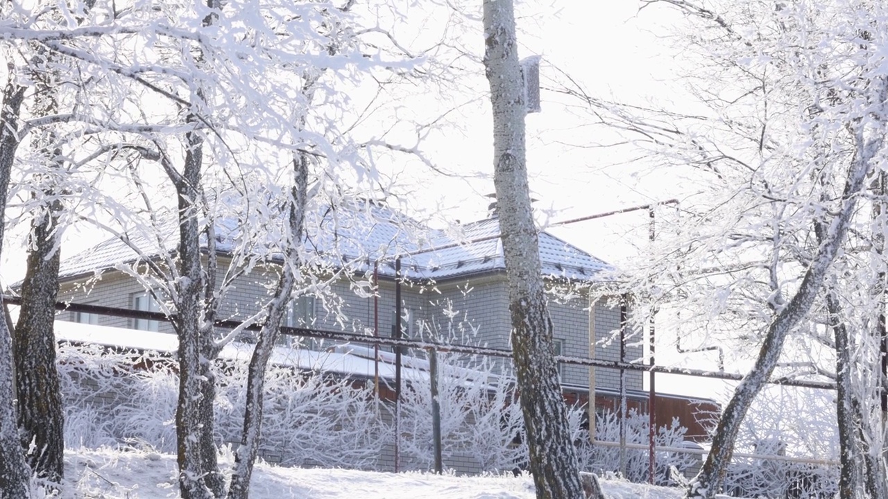 冬天，乡下白雪皑皑的树干和房屋映衬着白色的天空。在雪天里享受清新与自然视频素材