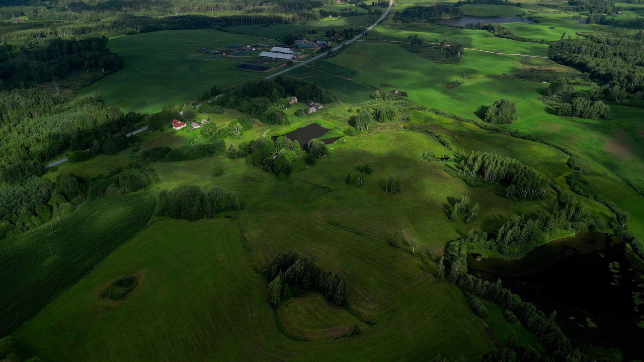 从空中俯瞰森林和湖泊的绿色景观。视频素材