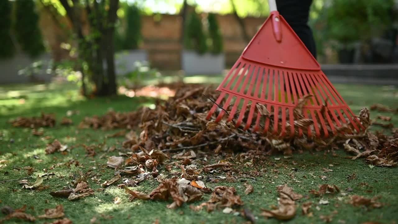 在家里的花园里，一耙收集的秋叶。秋叶清扫视频下载