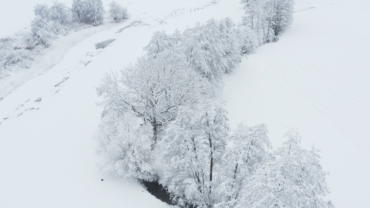 鸟瞰图，白雪覆盖的乡村景观与草地上的一排树木。法兰克尼亚，巴伐利亚，德国，欧洲。视频下载