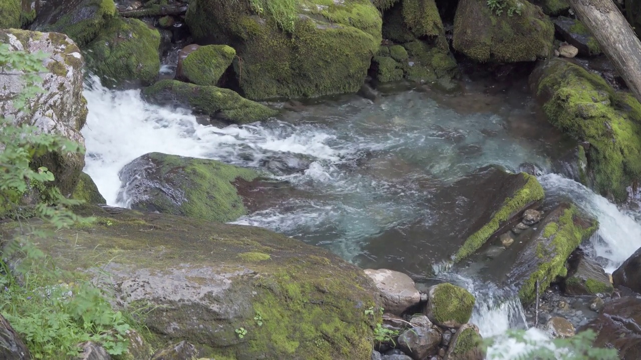 原始的水在阿尔卑斯山上的岩石和苔藓溪流中流动。——特写镜头视频素材