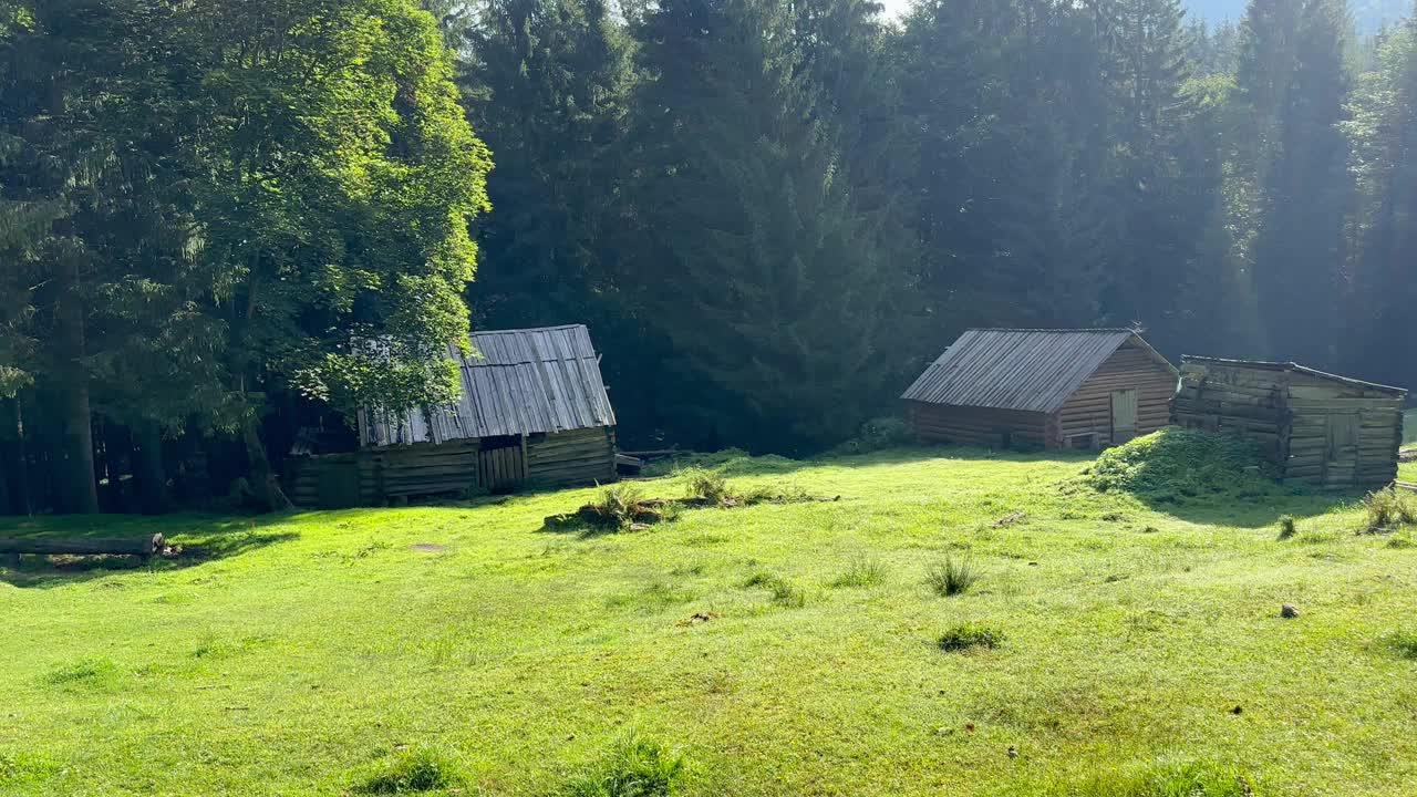 山上的草地上有古老的木制牧民小屋视频素材