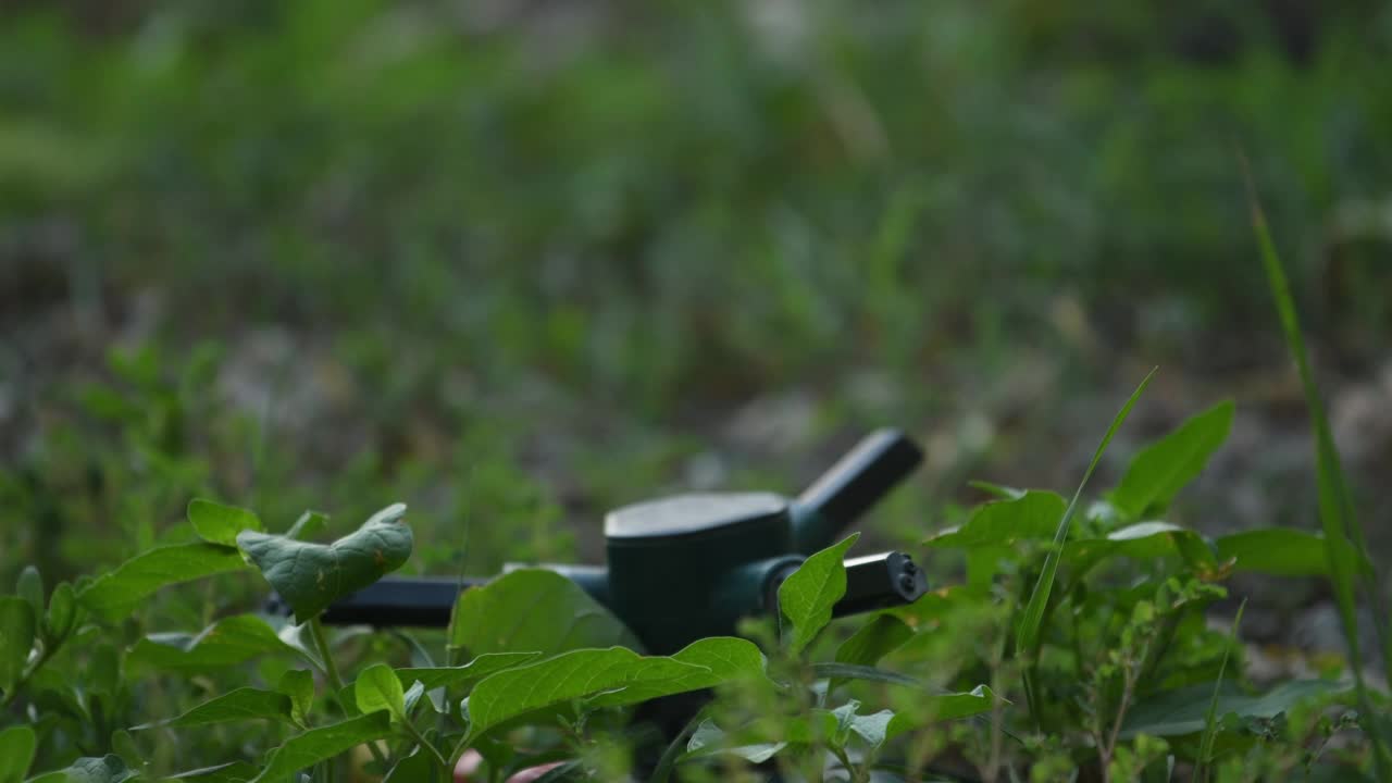 夏日夕阳下的后院花园洒水器视频素材