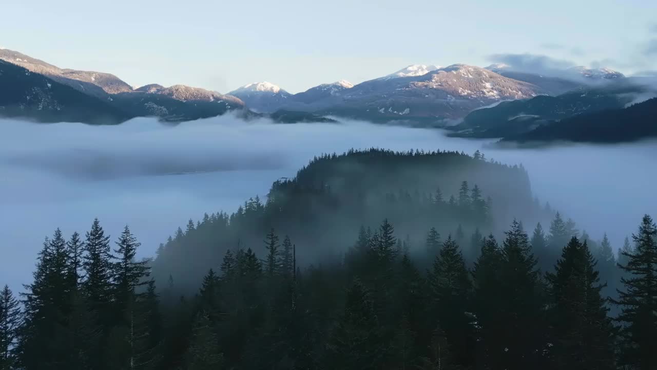 森林中的绿树与雾和山。冬天阳光明媚的日出。视频素材