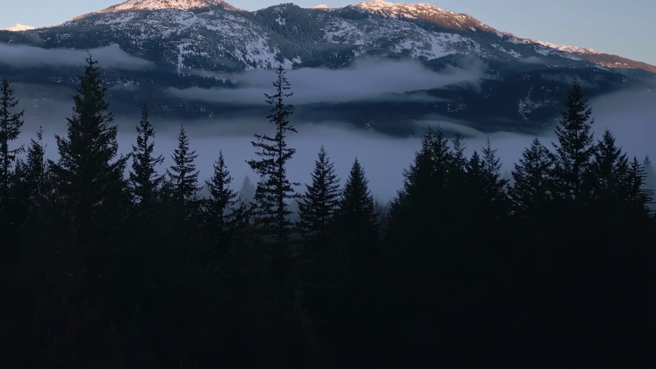 森林中的绿树与雾和山。冬天阳光明媚的日出。视频素材