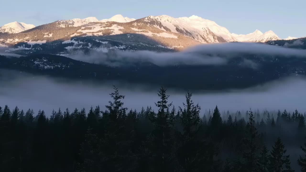 森林中的绿树与雾和山。冬天阳光明媚的日出。视频素材