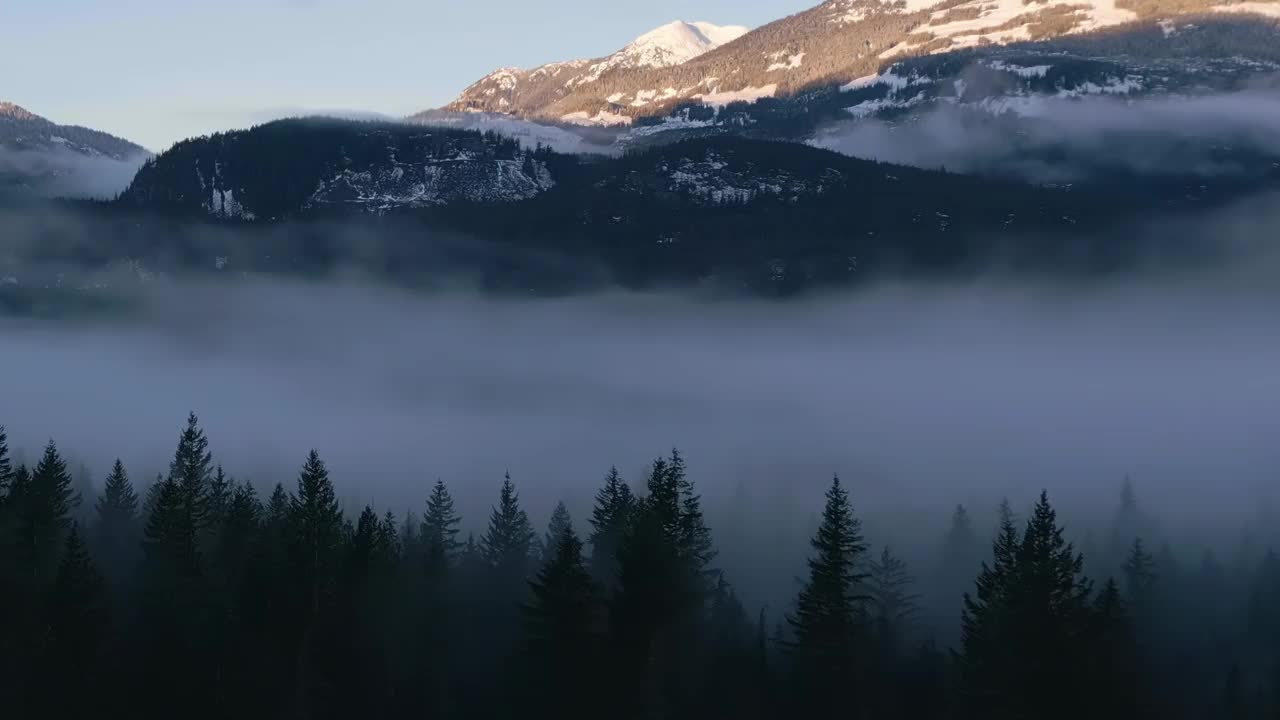 森林中的绿树与雾和山。冬天阳光明媚的日出。视频素材