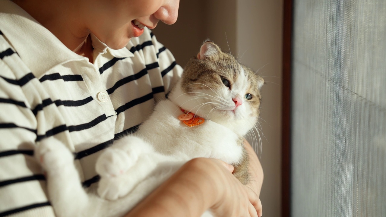 在家里和猫一起度过空闲时间。视频素材