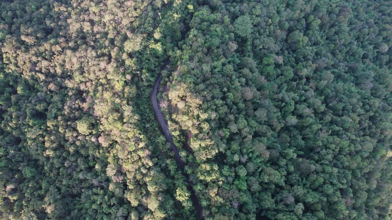 乡村道路的俯视图，穿过绿色的森林和山视频素材