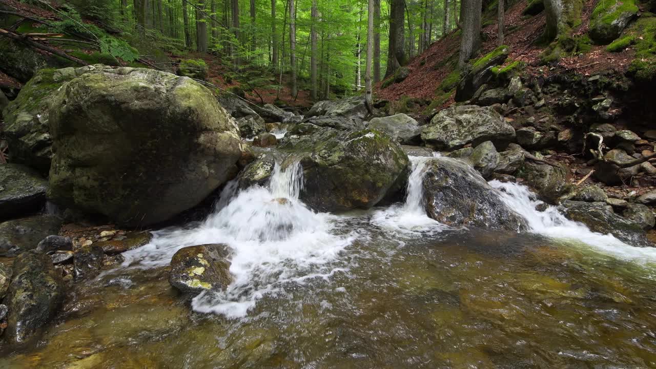 Riesbach河在Rißloch自然保护区。Riesbach, Rißloch, Bodenmais，巴伐利亚森林，下巴伐利亚，下巴伐利亚，巴伐利亚，德国，欧洲。视频下载