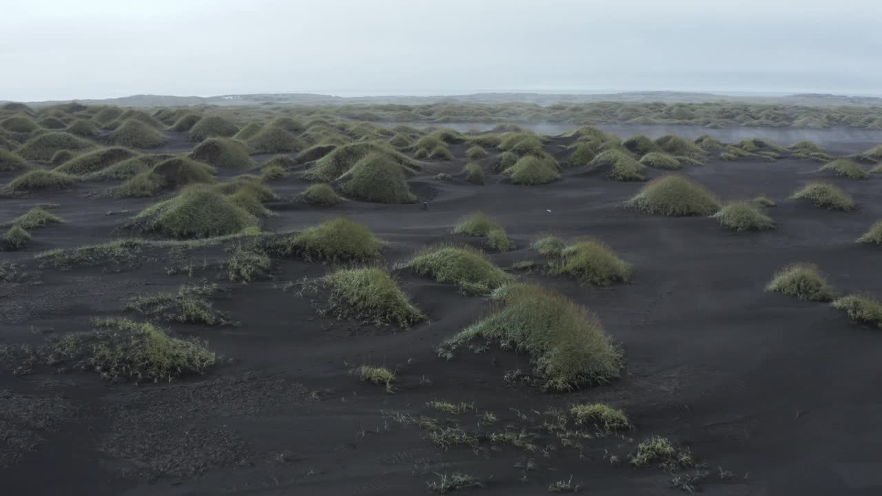 飞越黑沙滩上的草地。Vestrahorn, stoksnes Cape, Höfn，奥地利，东部地区，冰岛，北欧，欧洲。视频素材