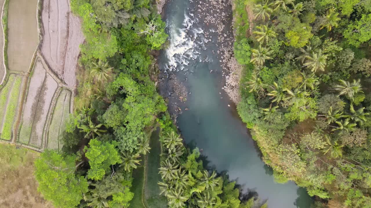 无人机拍摄的急流和陡峭的岩石。树木和种植园在一边- 4K鸟瞰图视频素材