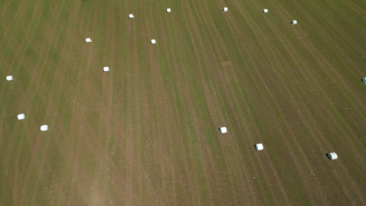 田里的干草视频素材