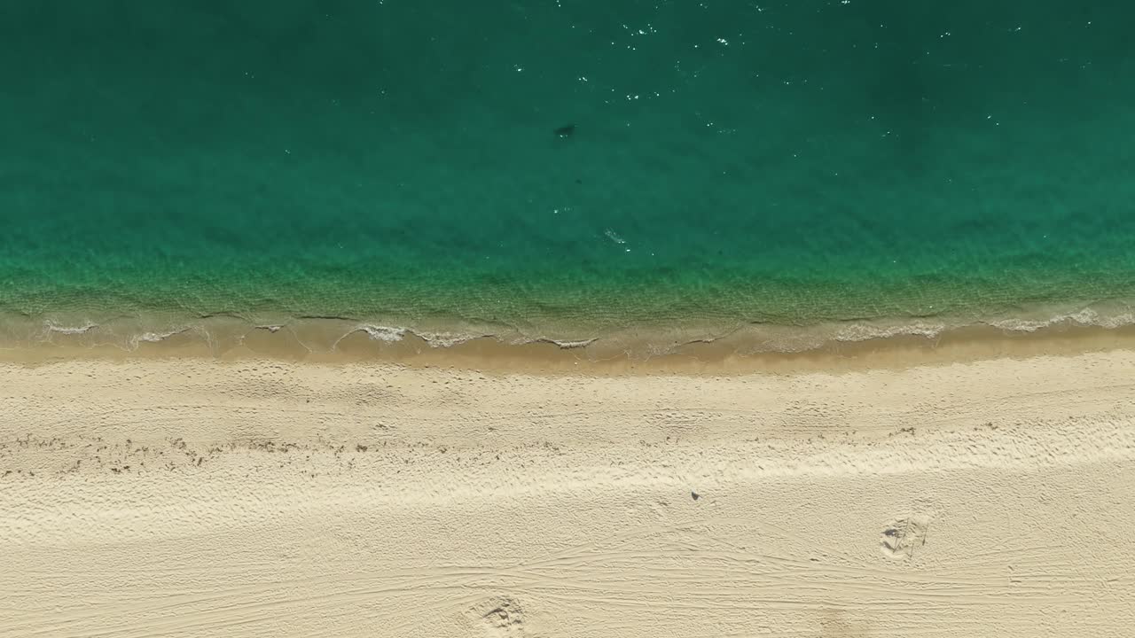 空中拍摄的空旷的沙滩和海浪的海洋视频素材