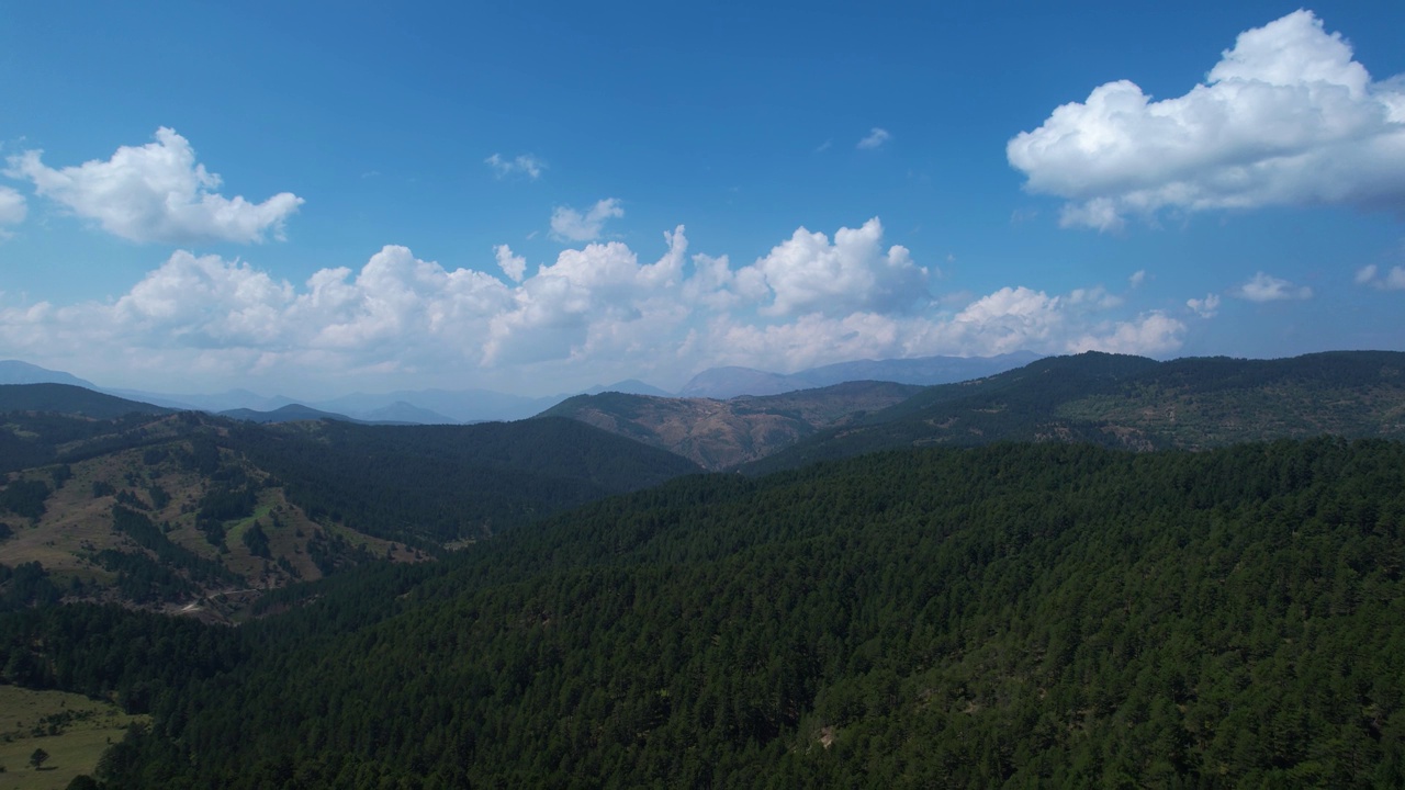 高山苍翠的松树，蓝天白云下的野生森林景观，阿尔巴尼亚令人惊叹的自然背景视频素材