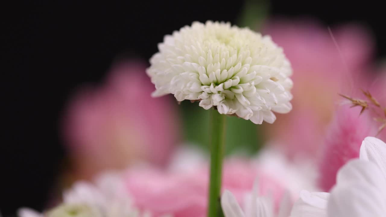 用来制作一束有缺陷的旧花视频素材