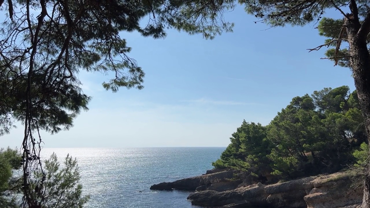 蓝色的海浪，夏天的岩石岸边长满了松树。视频素材