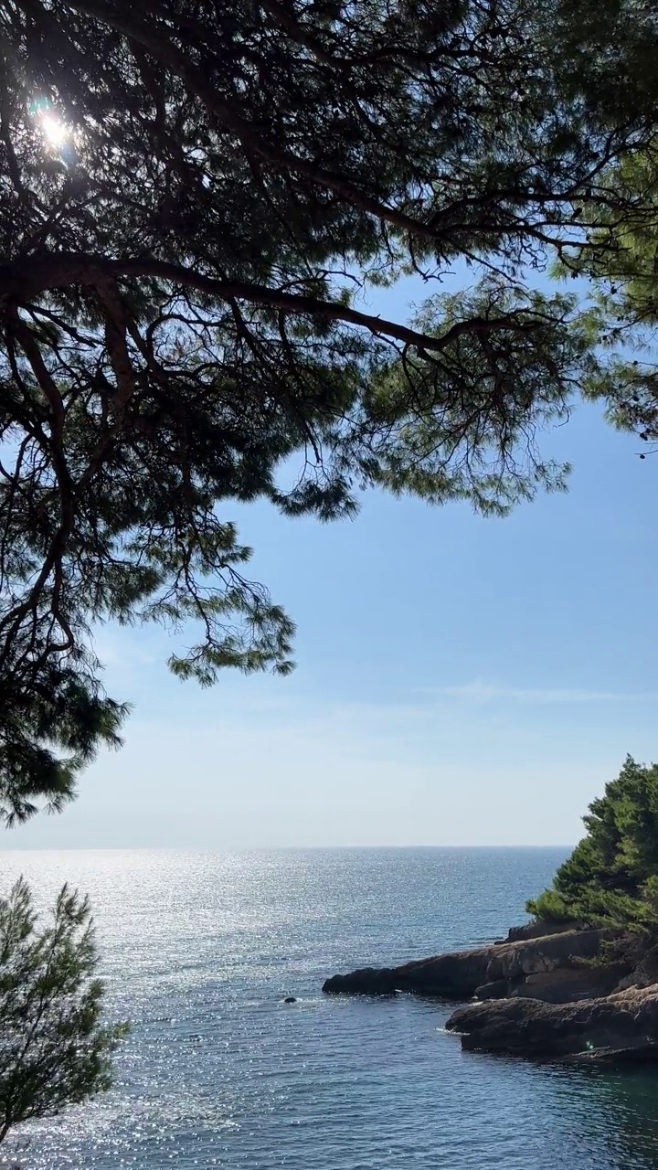 蓝色的海浪，松树丛生的岩石海岸在夏天，垂直视频。视频素材