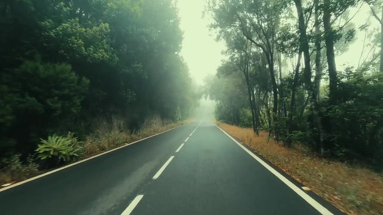 在有雾和雨的恶劣天气下，在一条长而直的路上开车。野生风景区。交通和旅行。目的地。长柏油路从地面看移动。汽车的观点视频素材