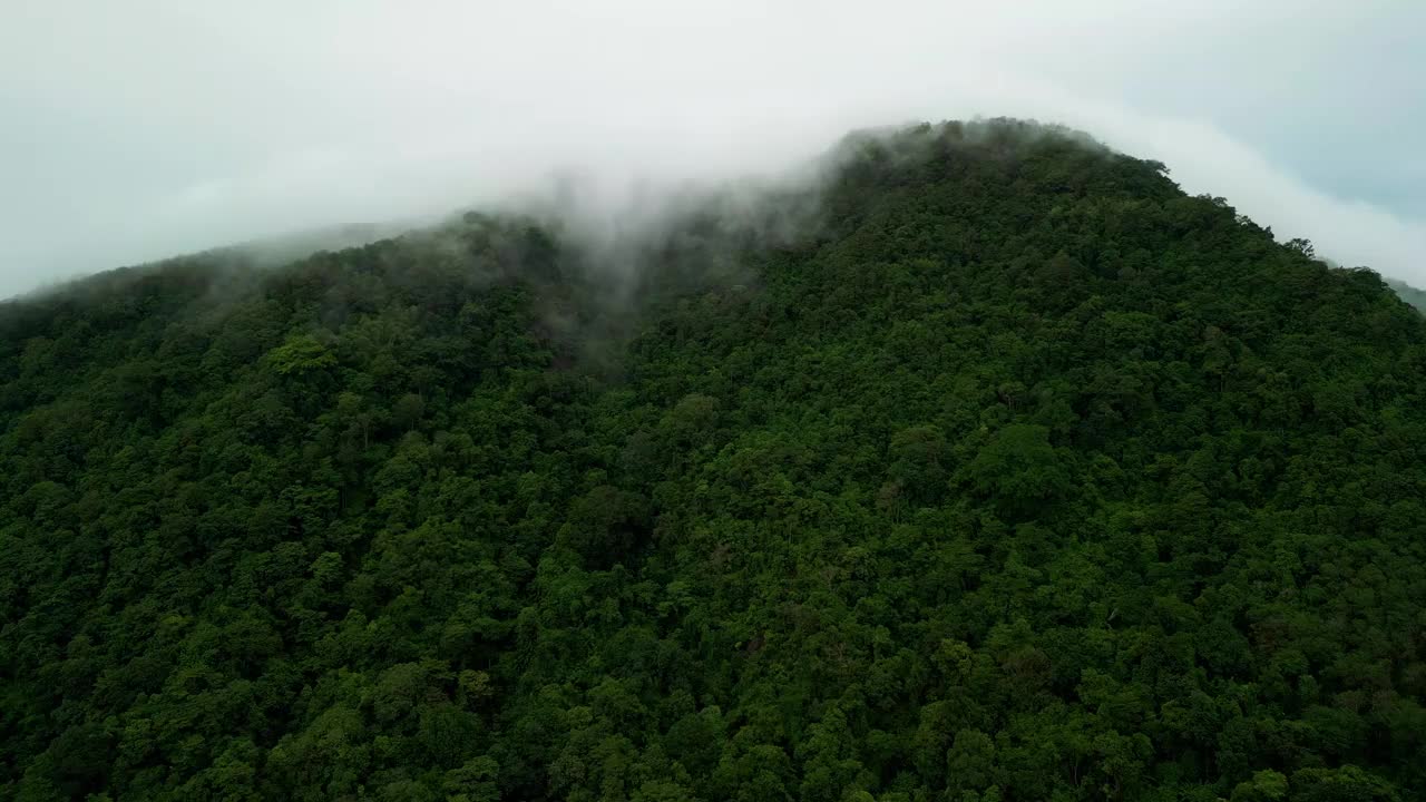 鸟瞰图泰国普吉岛周围的绿色山上笼罩着白雾。视频素材