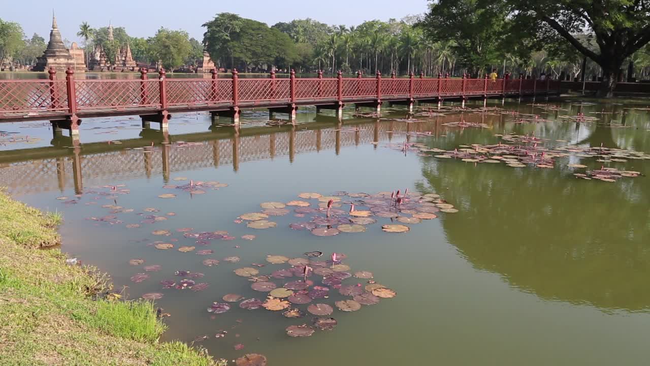 泰国，素可泰——素可泰历史公园的全景视频素材