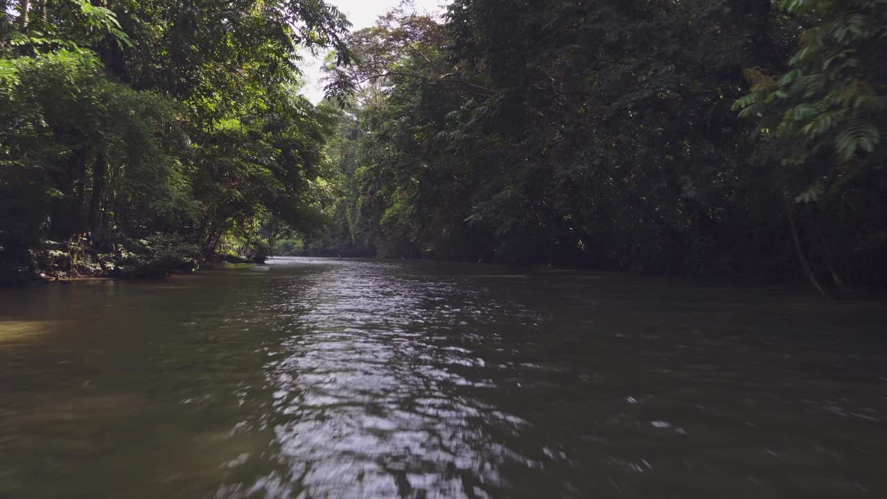 热带河流的美景视频素材