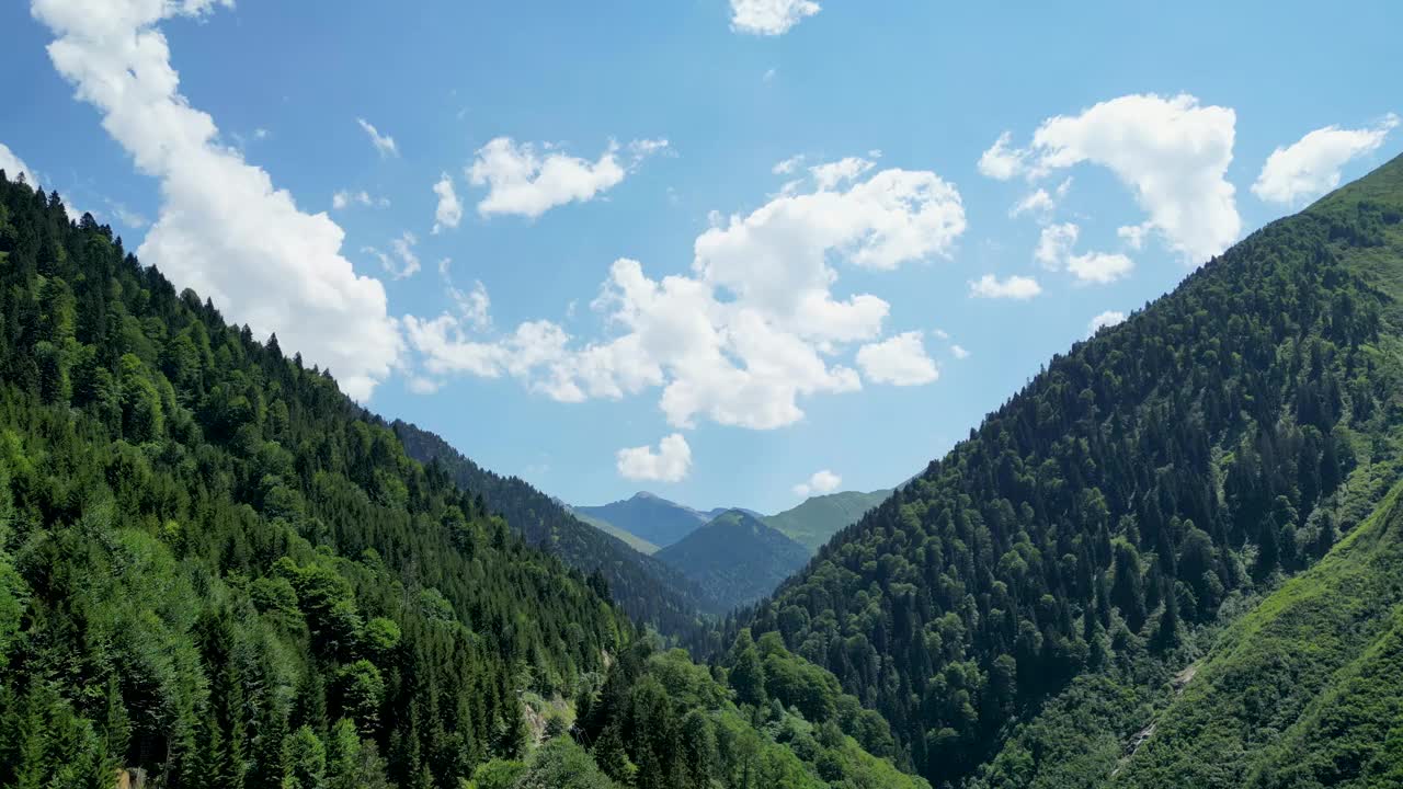 山上有美丽的绿树。多云天气拍摄的松树和kackar山。山脉:在两座山脉之间延伸的多山地区UHD 4 k。在土耳其Rize拍摄视频下载