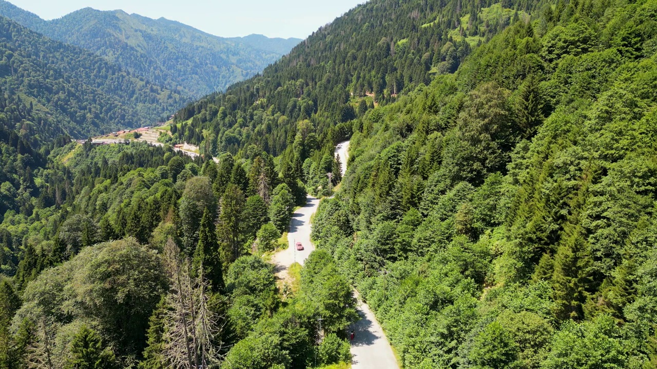 森林中道路的鸟瞰图。运输的概念。电影般的无人机在松树林中的碎石路上飞行视频下载