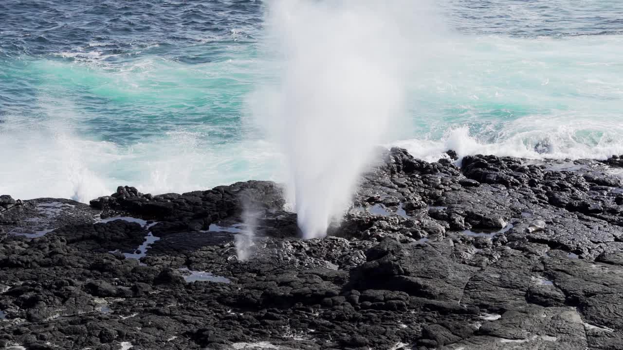 在加拉帕戈斯群岛的熔岩海滩上，太平洋的海水通过一个吹孔被挤压，喷出咸水喷雾。视频素材