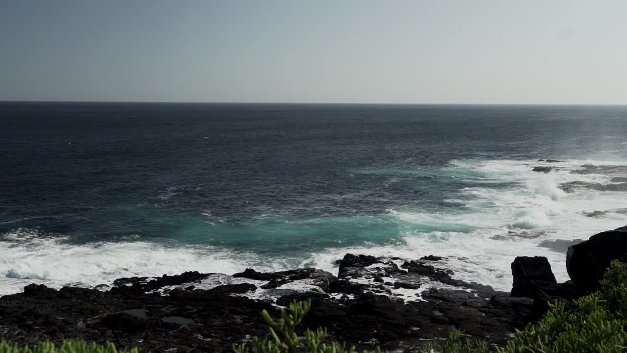 在加拉帕戈斯群岛的熔岩海滩上，太平洋的海水通过一个吹孔被挤压，喷出咸水喷雾。视频素材