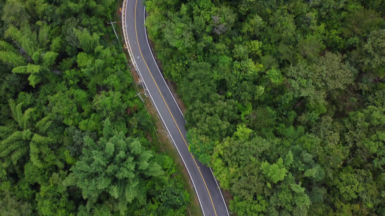 森林中道路的鸟瞰图视频下载