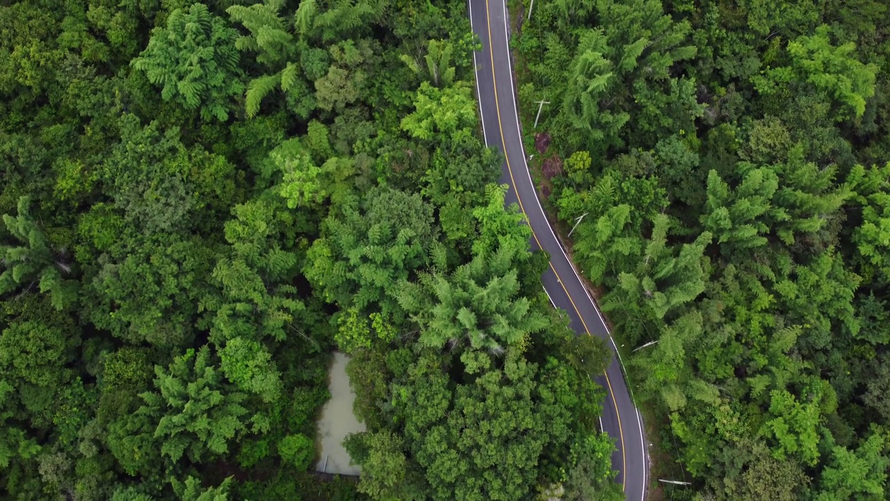 森林中道路的鸟瞰图视频素材