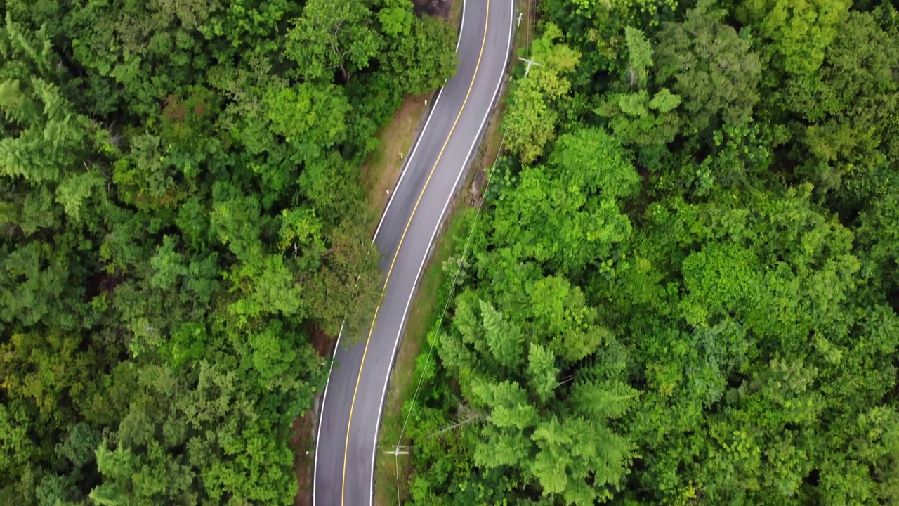 森林中道路的鸟瞰图视频素材