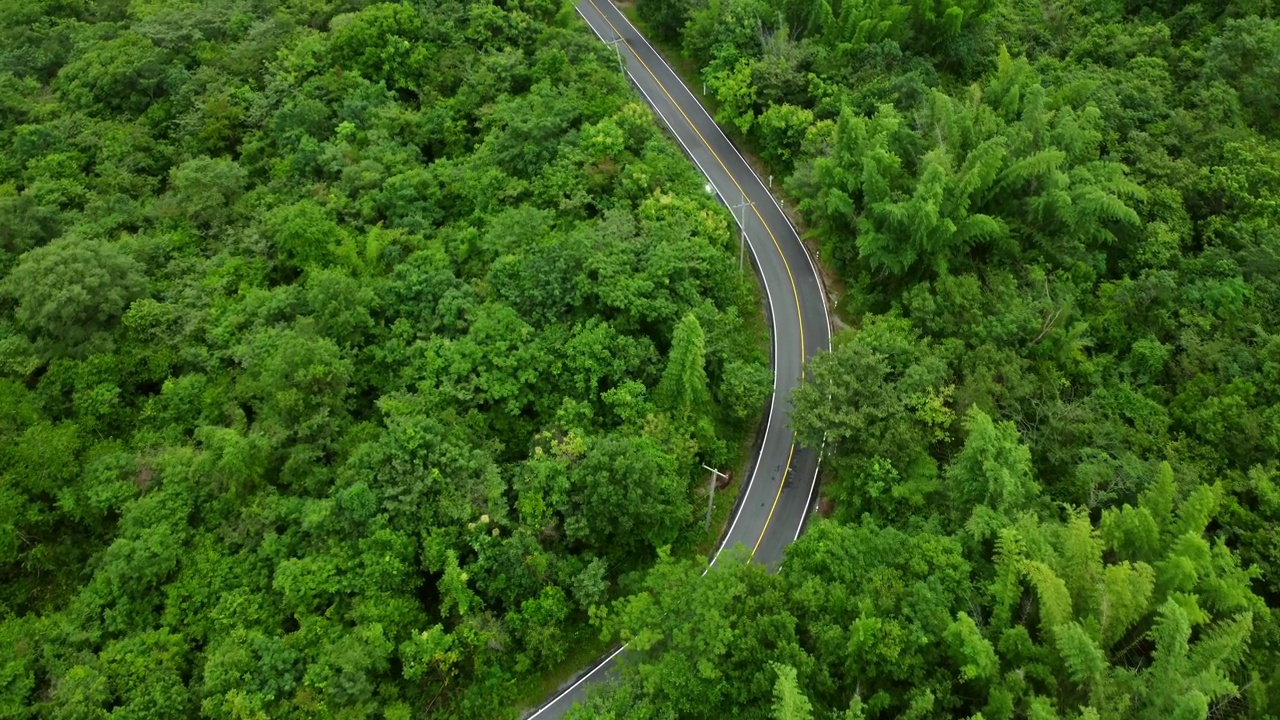 森林中道路的鸟瞰图视频下载