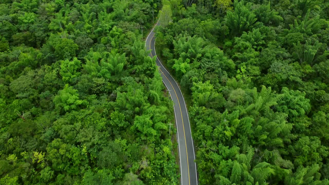 森林中道路的鸟瞰图视频下载