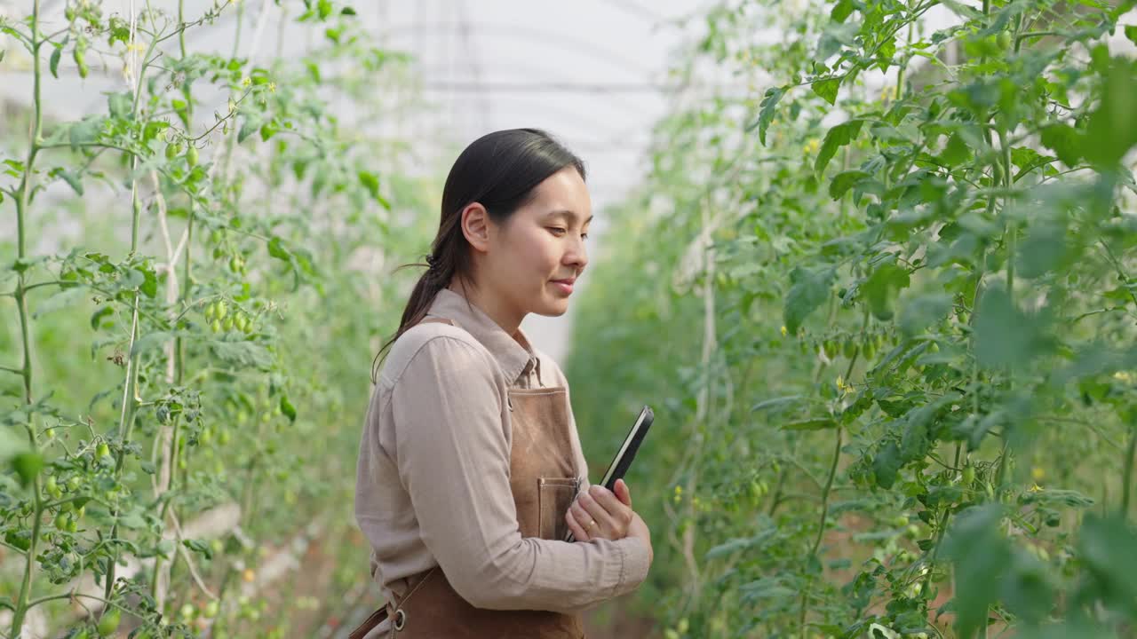 年轻的女农民站在温室里，自信地看着镜头视频素材