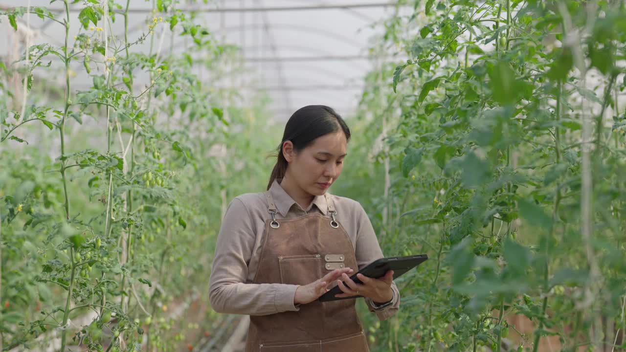 年轻的女农民站在温室里，自信地看着镜头视频素材