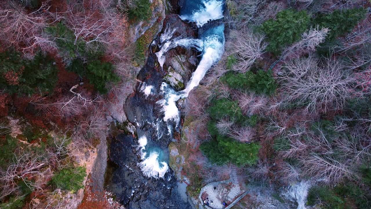 激流河在秋天的森林峡谷流过岩石和鹅卵石。视频素材