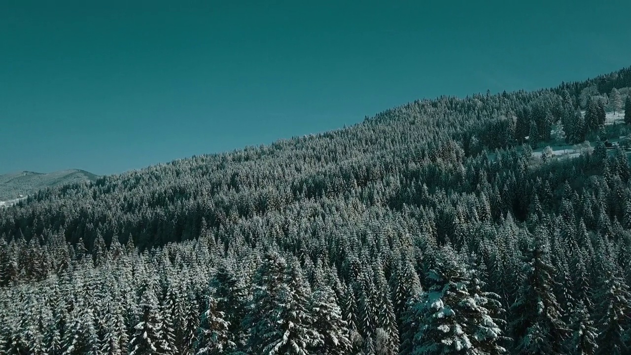 无人机拍摄白雪覆盖的树木，冬季大自然美丽的欧洲鸟瞰松林山，季节旅行白色冰封的大自然田园诗视频素材