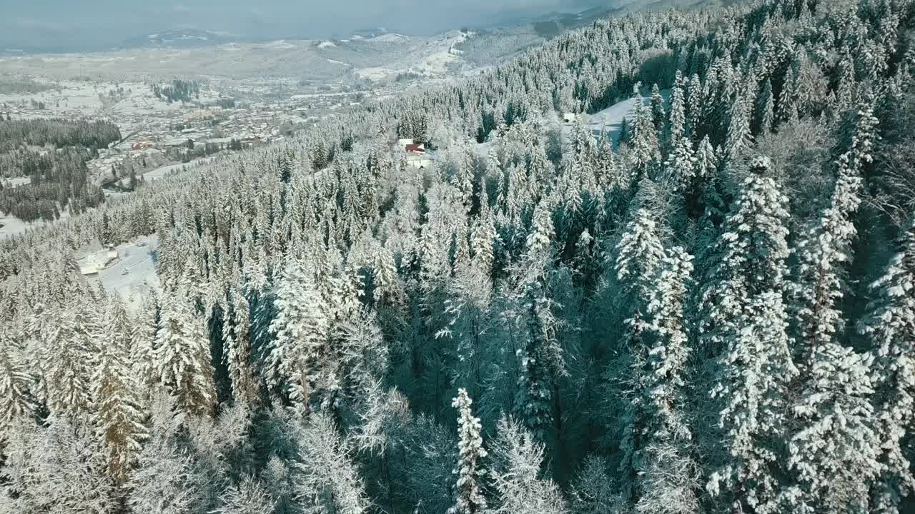 无人机拍摄白雪覆盖的树木，冬季大自然美丽的欧洲鸟瞰松林山，季节旅行白色冰封的大自然田园诗视频素材