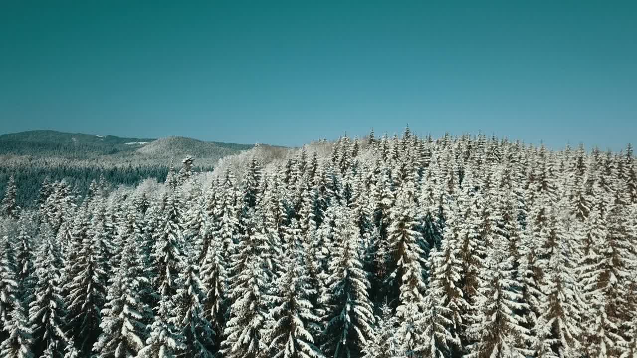 无人机拍摄白雪覆盖的树木，冬季大自然美丽的欧洲鸟瞰松林山，季节旅行白色冰封的大自然田园诗视频素材