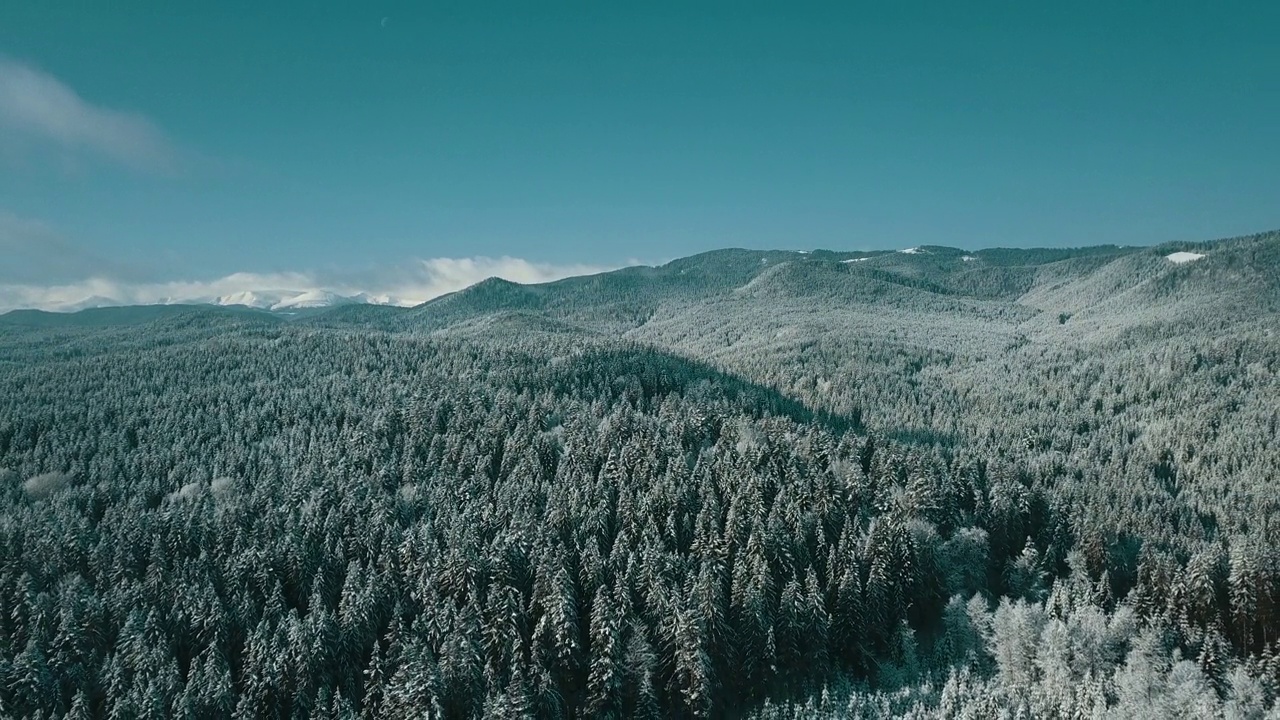 无人机拍摄白雪覆盖的树木，冬季大自然美丽的欧洲鸟瞰松林山，季节旅行白色冰封的大自然田园诗视频素材