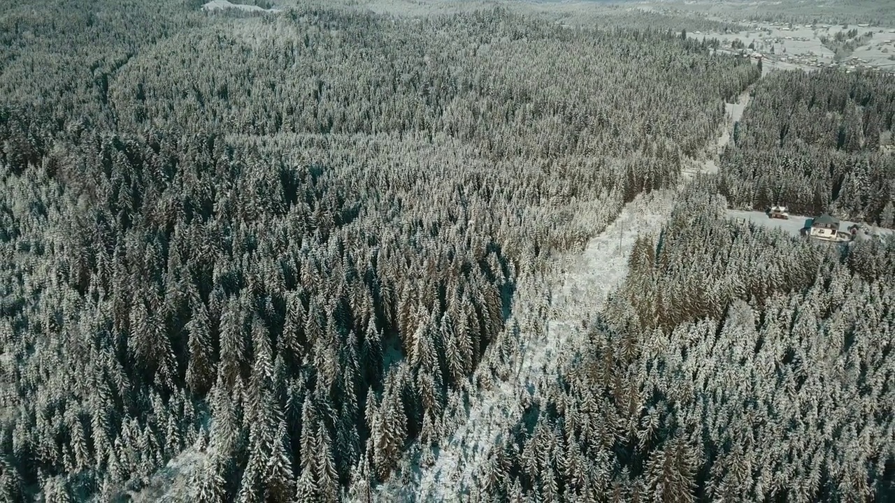 无人机拍摄白雪覆盖的树木，冬季大自然美丽的欧洲鸟瞰松林山，季节旅行白色冰封的大自然田园诗视频素材