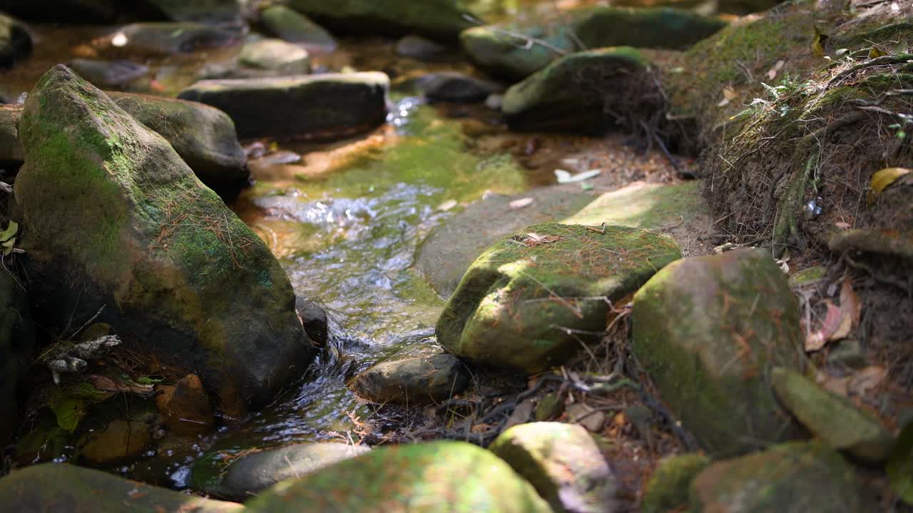 小溪流在岩石上流动的特写视频素材