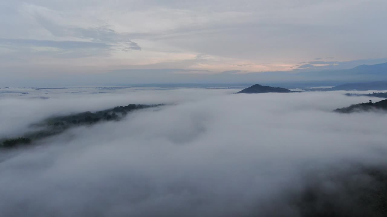 森林山上的云视频素材