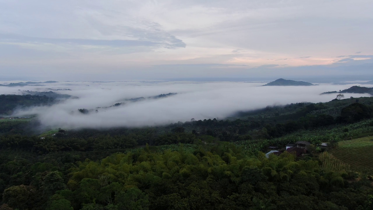 森林山上的云视频素材