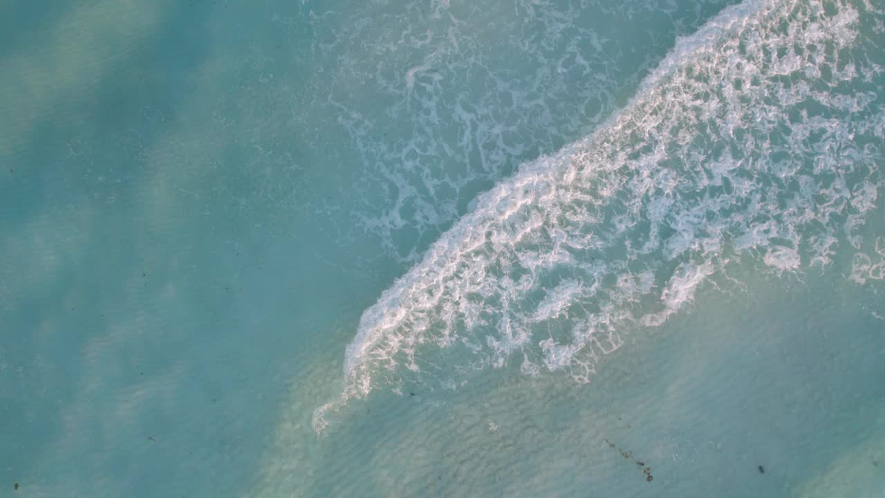 在墨西哥坎昆，鸟群优雅地在水面上飞翔，清澈湛蓝的大海和白色的沙滩上翻滚的海浪视频素材