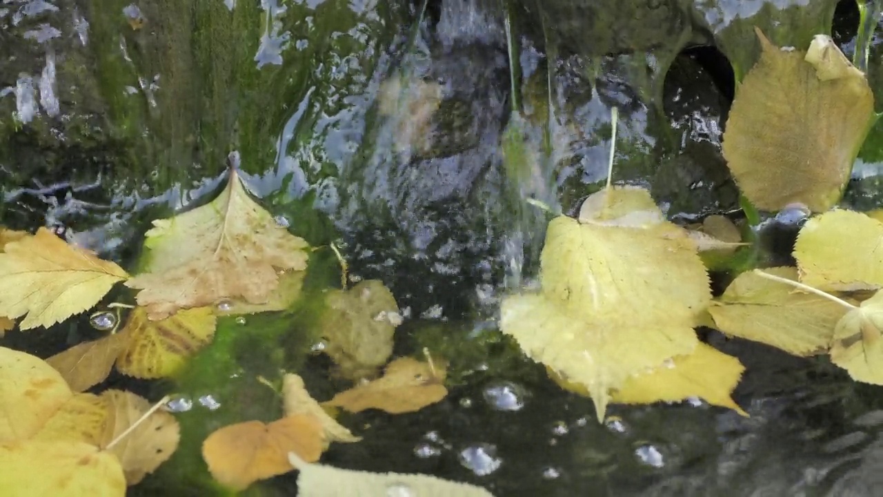 水流，潮湿的苔藓岩石，小瀑布视频素材